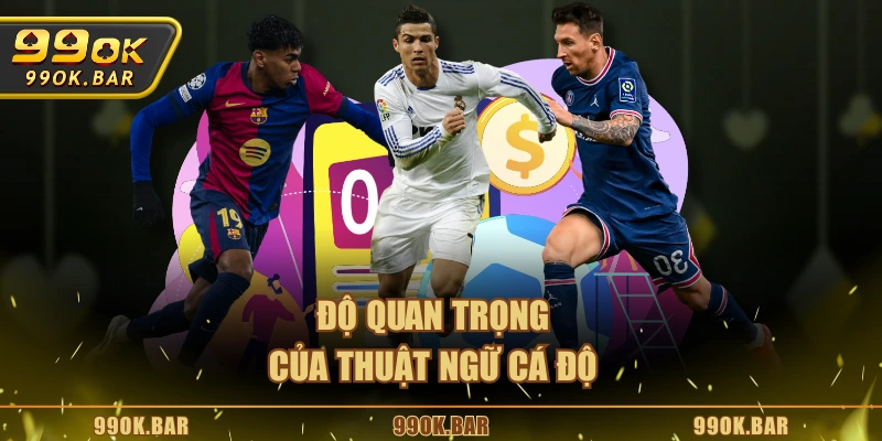 Độ quan trọng của thuật ngữ cá độ