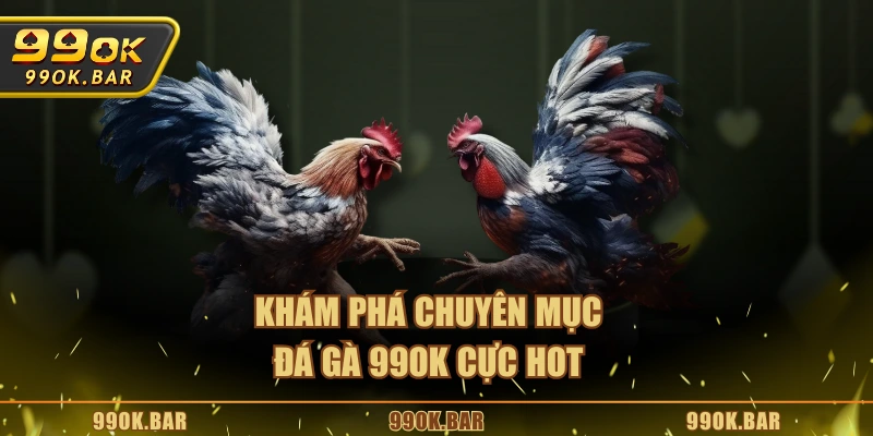 Khám phá chuyên mục đá gà 99OK cực hot